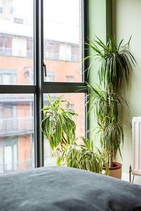 Spacious Belfast City Centre Duplex Apartment Exterior photo